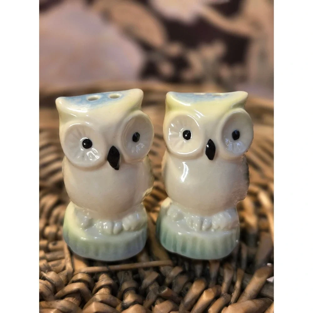 😎Cute Ceramic Owl Salt‎ Pepper Shakers Set Kitchen Decor Vintage Cracker Barrel